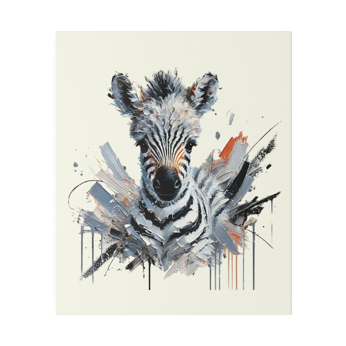 Baby Zebra Canvas