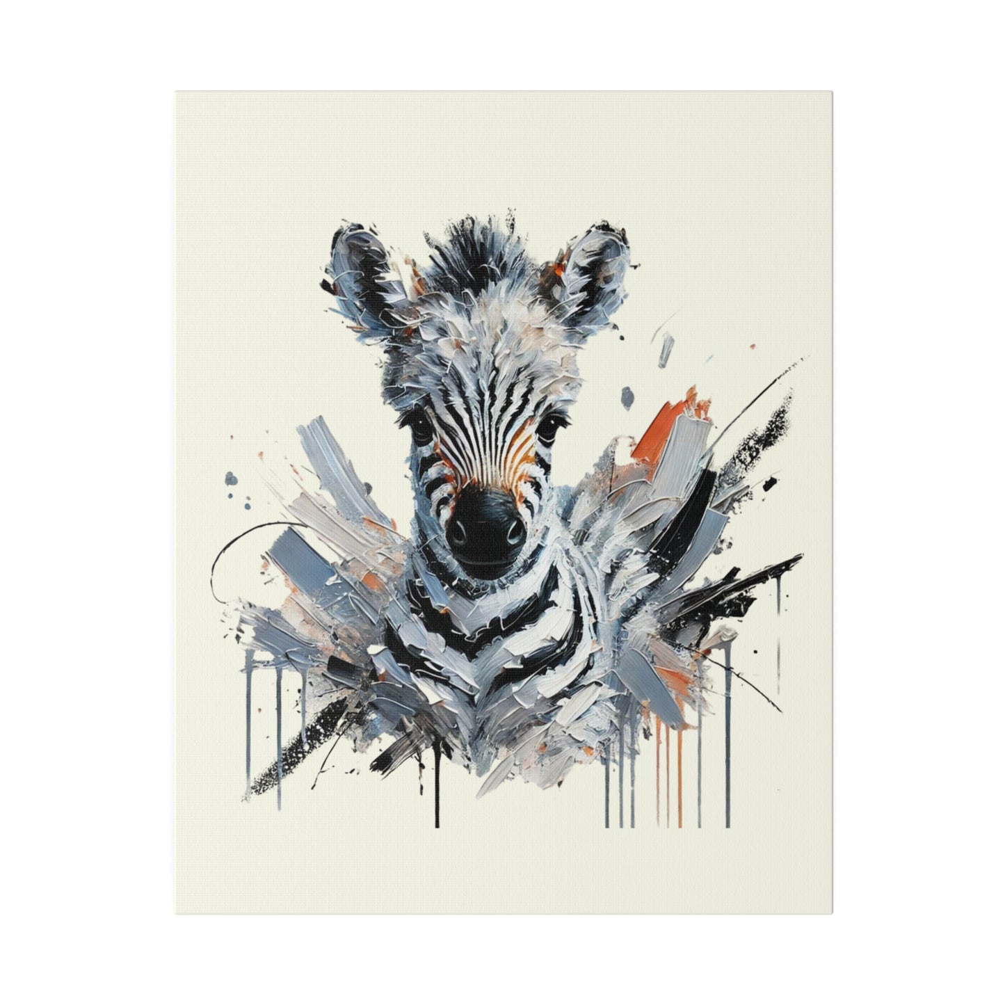 Baby Zebra Canvas