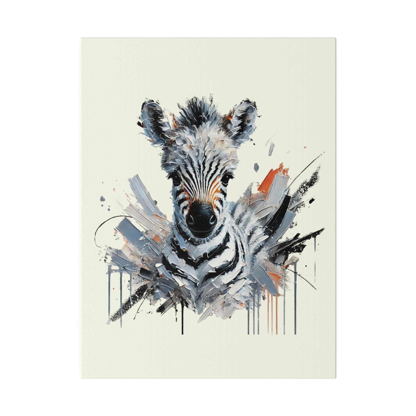 Baby Zebra Canvas